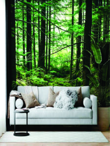 papel-de-parede-adesivo-floresta1-38b36915ddd2c71fa516352818315461-640-0-225x300